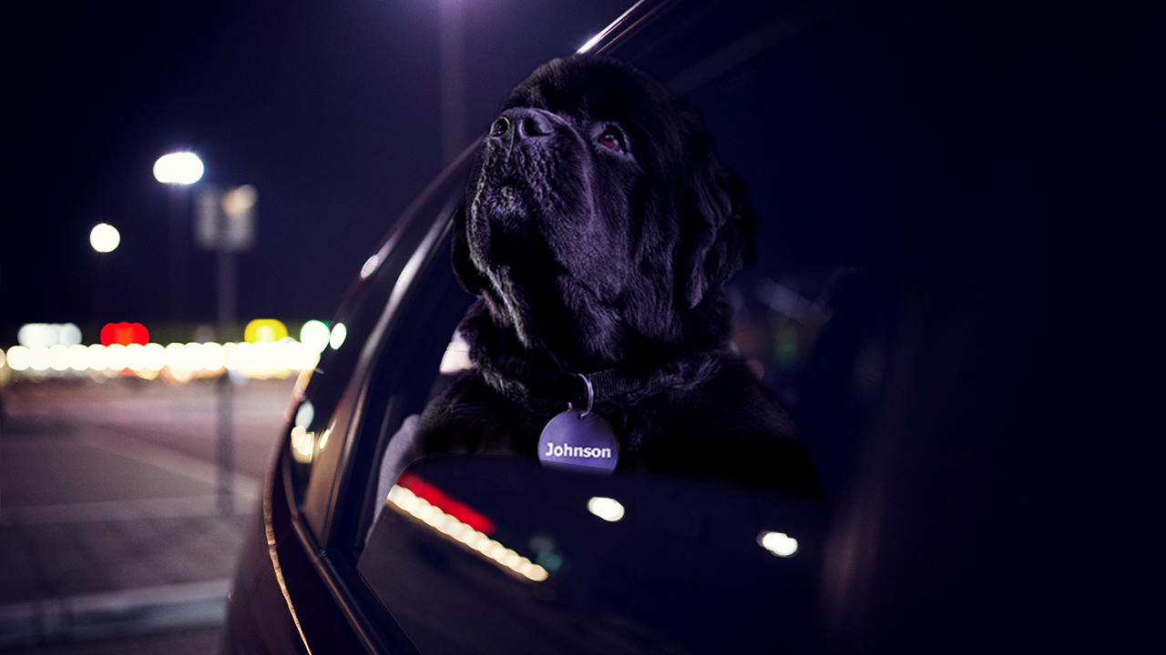 Johnson's night driving