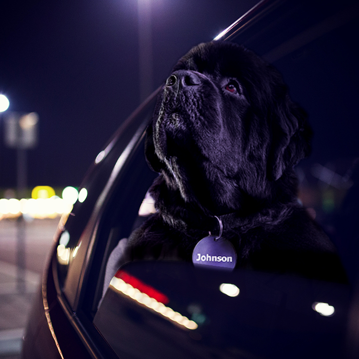 Johnson's night driving