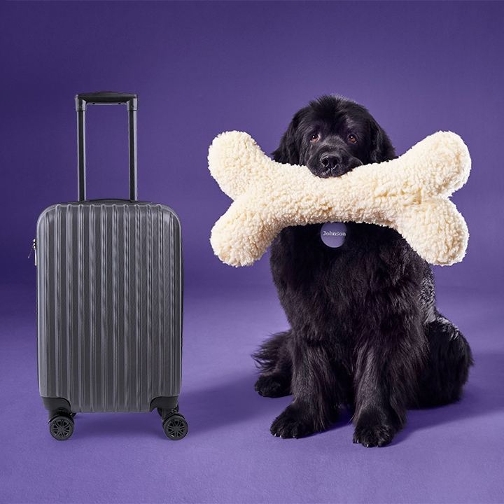 Johnson dog with a bone and suitcase